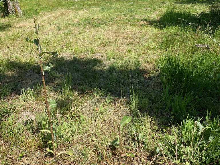 Aux portes de Margaux, dans un petit lotissement de 8 lots, — photo 1