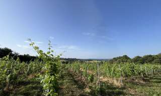 Terrain  20000 m² à vendre à Puy-d'Arnac (19120)