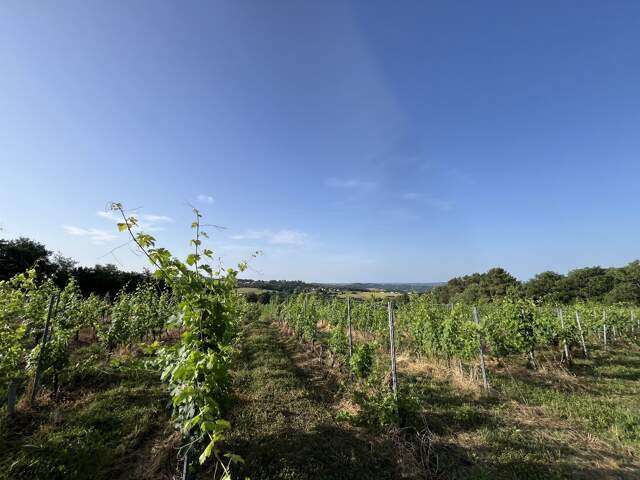 Terrain — photo du bien