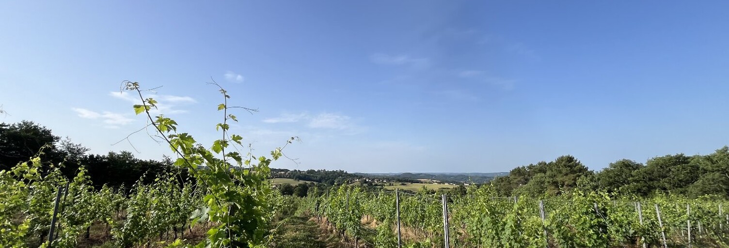 Terrain  20000 m² à vendre à Puy-d'Arnac (19120)