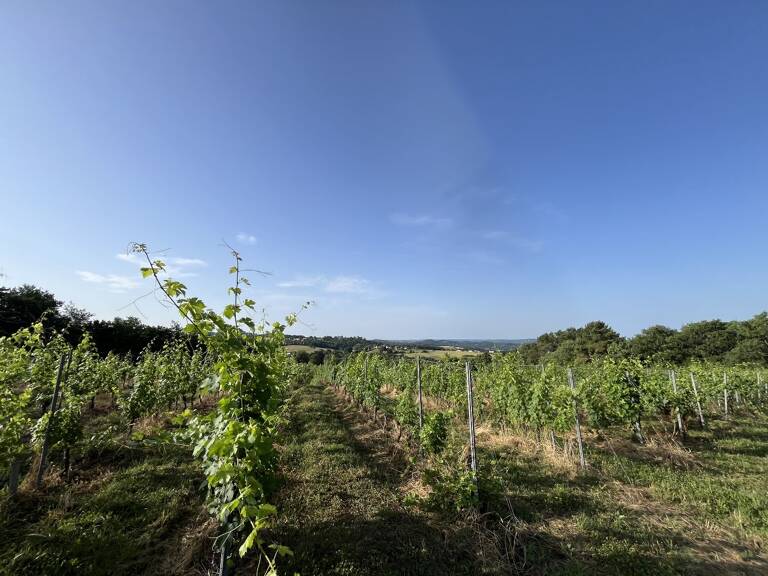 Terrain — photo 1