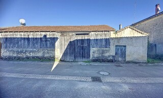 Photo N° 8