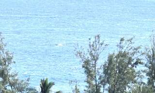 Appartement 2 Pièces 40 m² à vendre à Saint-Paul (97434)