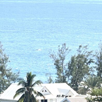 Appartement 2 pièces 215000 €