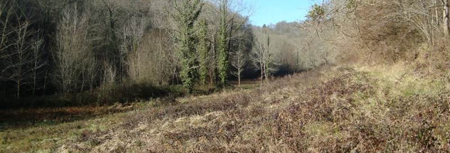 Terrain  101027 m² à vendre à Jurançon (64110)