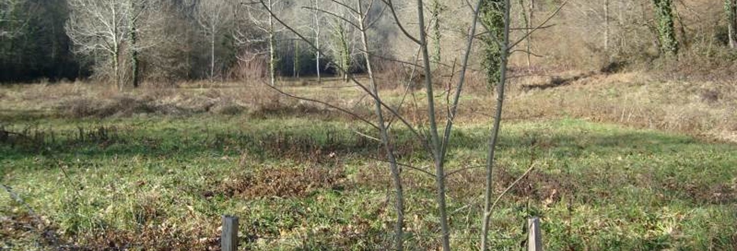 Terrain  101027 m² à vendre à Jurançon (64110)