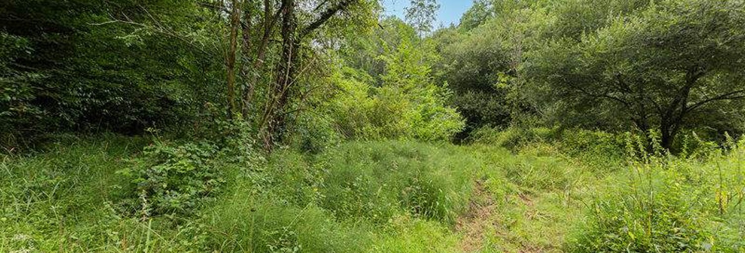 Terrain  101027 m² à vendre à Jurançon (64110)