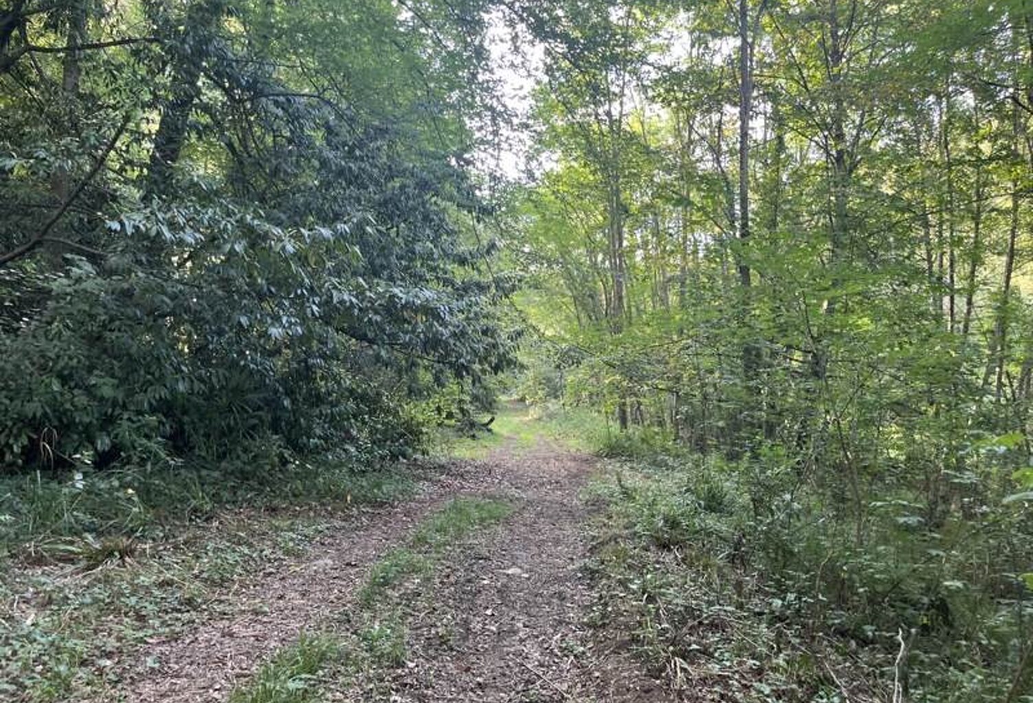 Terrain à bâtir de 0 pièces principales — photo 1