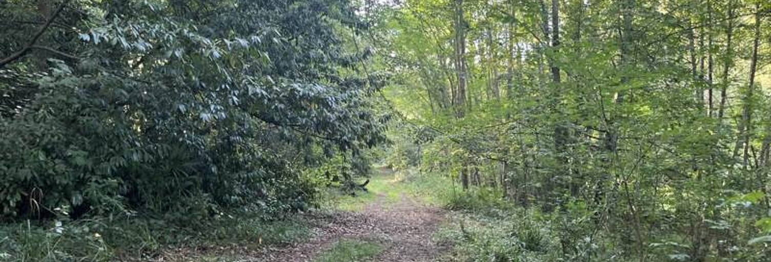 Terrain  101027 m² à vendre à Jurançon (64110)