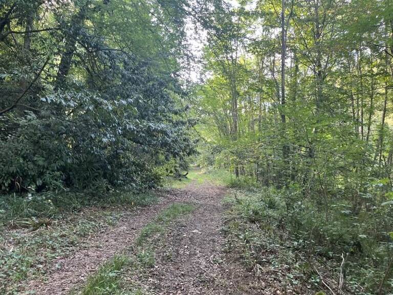Terrain à bâtir de 0 pièces principales — photo 1