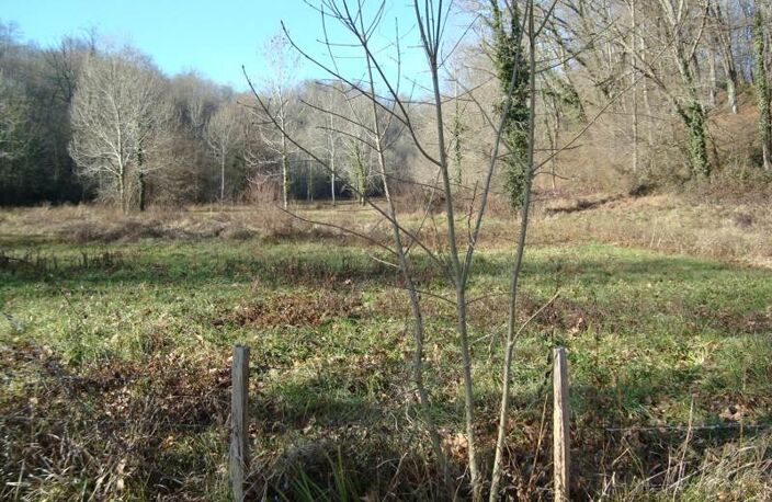 Terrain à bâtir de 0 pièces principales — photo 3