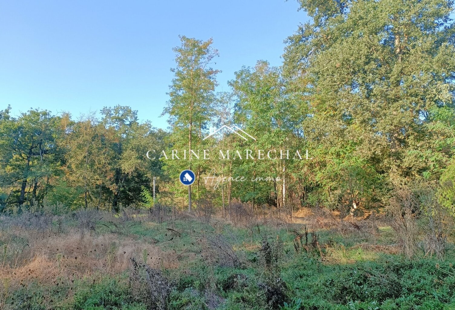 Terrain 2020 m²  Hors lotissement  Possibilité 2 maisons — photo 1
