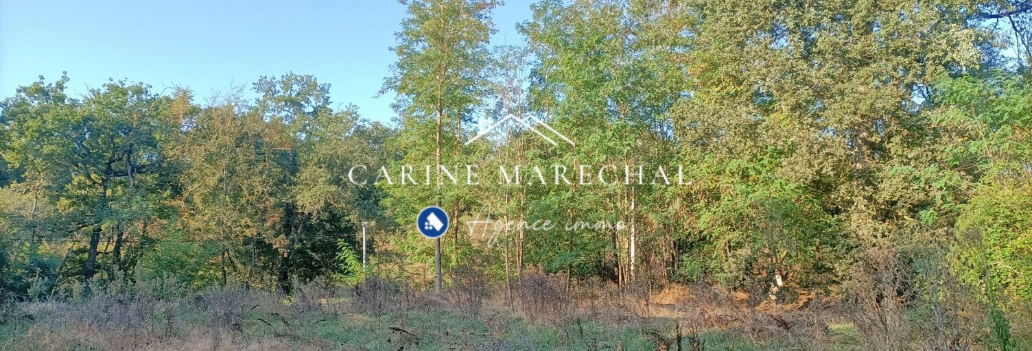 Terrain  2023 m² à vendre à Poucharramet (31370)