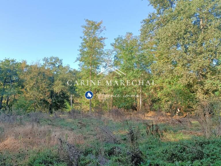 Terrain 2020 m²  Hors lotissement  Possibilité 2 maisons — photo 1