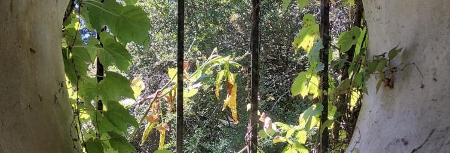 Maison 7 Pièces 135 m² à vendre à Cursan (33670)