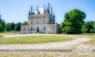 Maison 16 Pièces 843 m² à vendre à Chantonnay (85110)