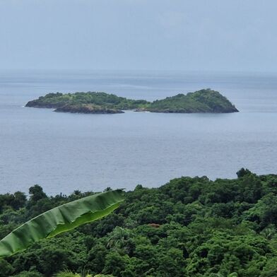 Maison 7 pièces 729000 €