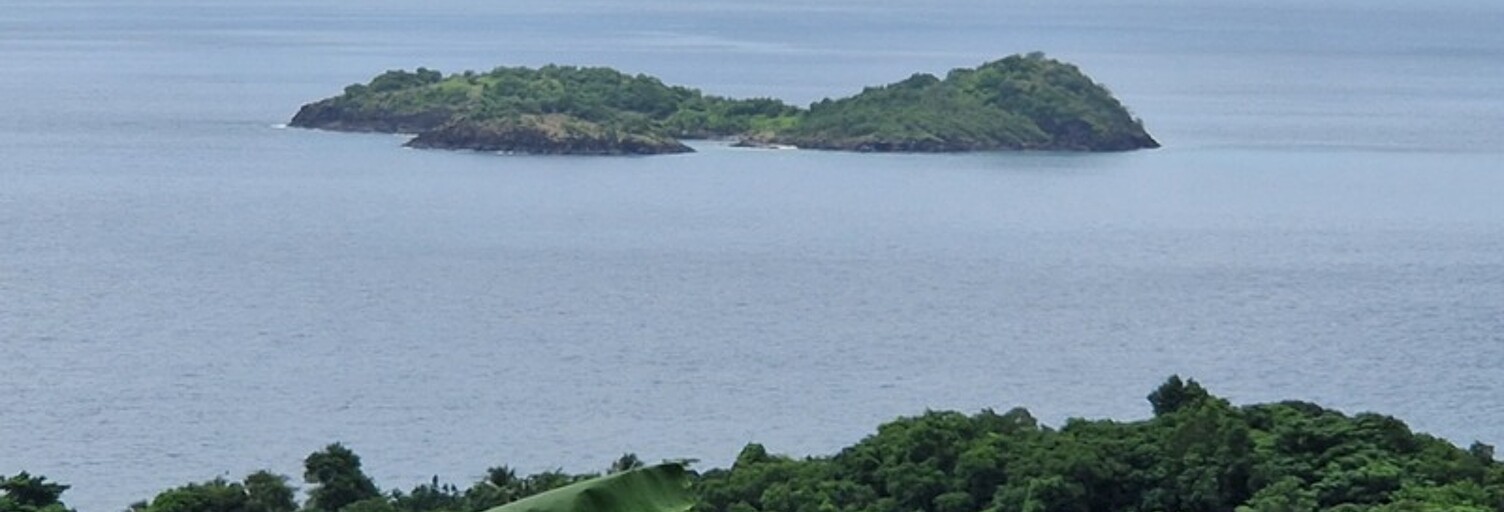 Maison 7 Pièces 300 m² à vendre à Bouillante (97125)