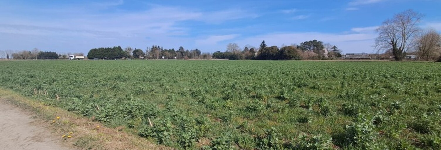 property.type.service  9068 m² à vendre à Bordères-sur-l'Échez (65320)