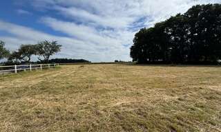 Terrain  853 m² à vendre à Allouville-Bellefosse (76190)