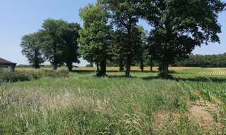 Terrain  2000 m² à vendre à Loyat (56800)