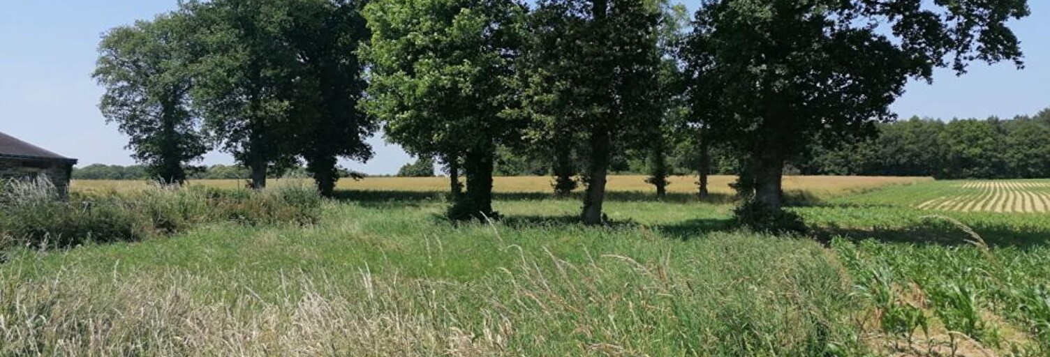 Terrain  2000 m² à vendre à Loyat (56800)