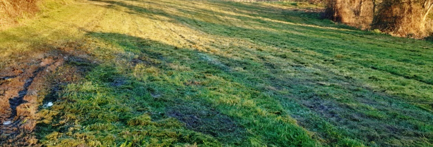 Terrain  4100 m² à vendre à Dieulivol (33580)