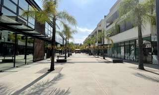 Appartement 47 m² en viager Cannes (06400)