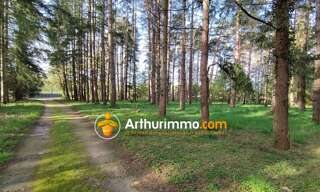 Maison  398 m² à vendre à Nouan-le-Fuzelier (41600)