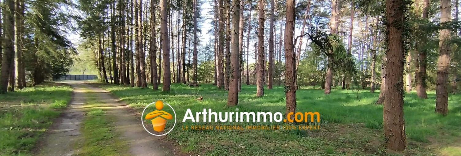 Maison  398 m² à vendre à Nouan-le-Fuzelier (41600)