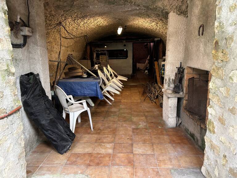 Cave ferstive avec jardin — photo 1