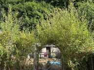 Cave ferstive avec jardin — photo 2