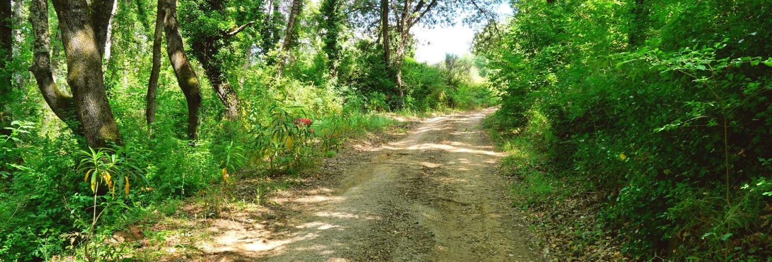 Terrain  8897 m² à vendre à Uzès (30700)