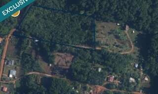 Terrain  21855 m² à vendre à Roura (97311)