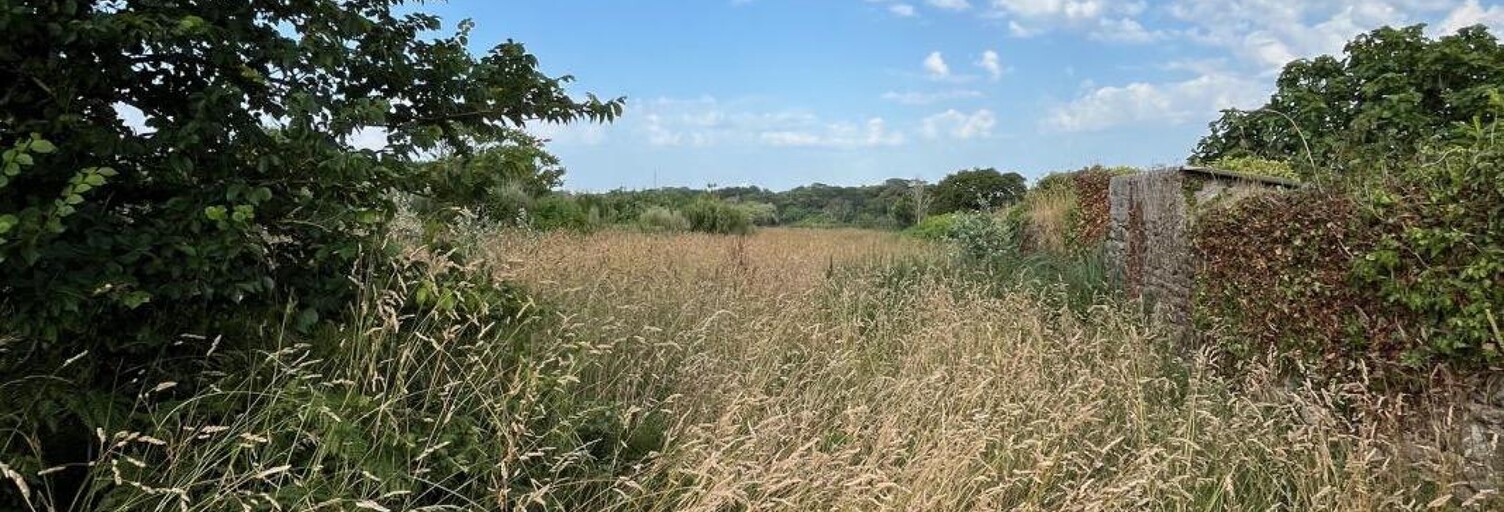 Maison 6 Pièces 125 m² à vendre à Goulien (29770)