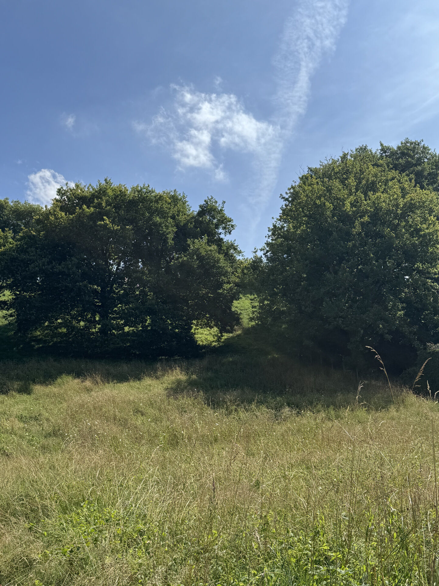 Terrain  à vendre Lescar 64230