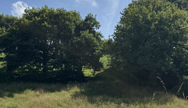 Terrain  à vendre Lescar 64230