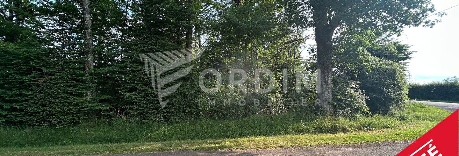 Terrain  1137 m² à vendre à Toucy (89130)