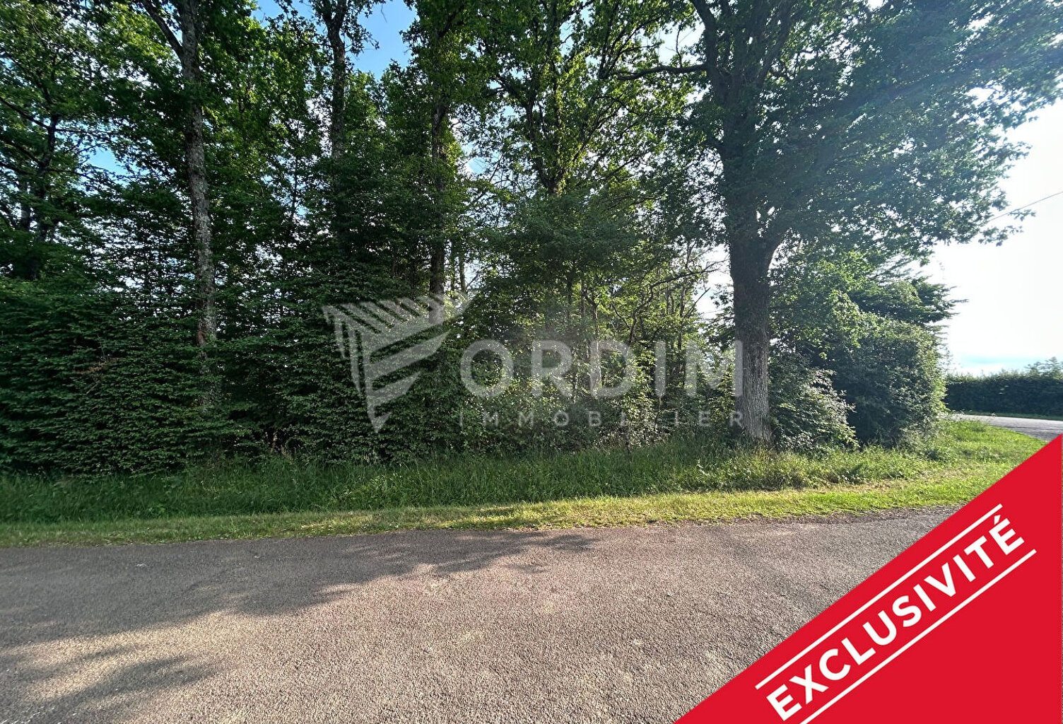 Terrain Toucy 1137 m2 — photo 1