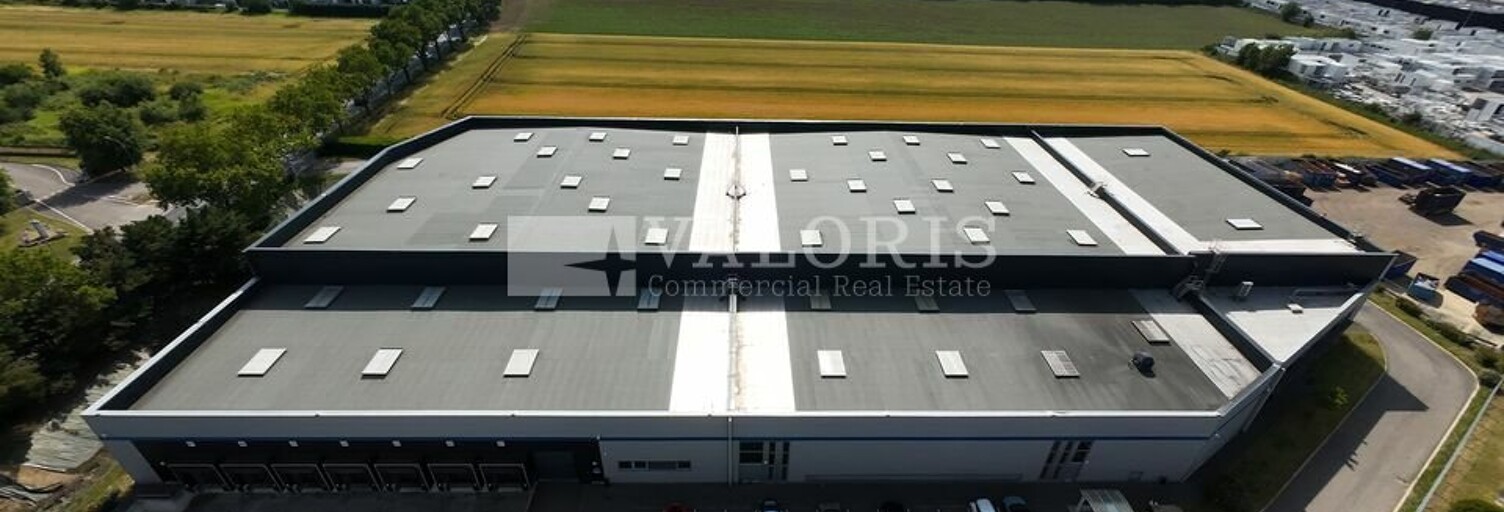 Commerce  7064 m² à louer à Corbas (69960)