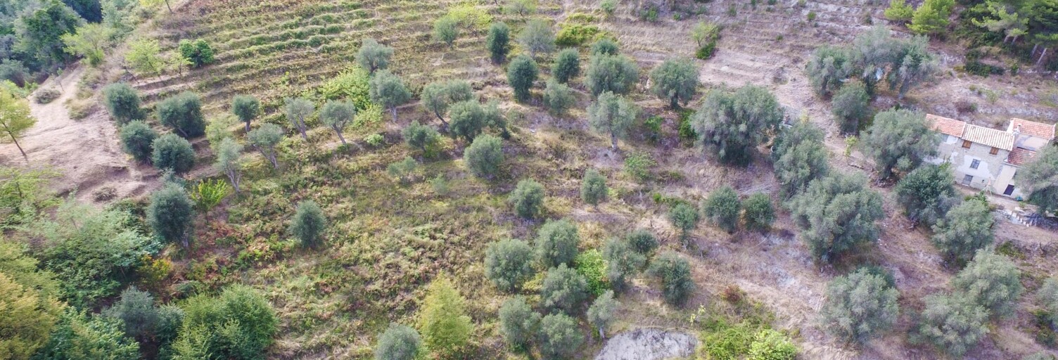 Terrain  8030 m² à vendre à Sainte-Agnès (06500)