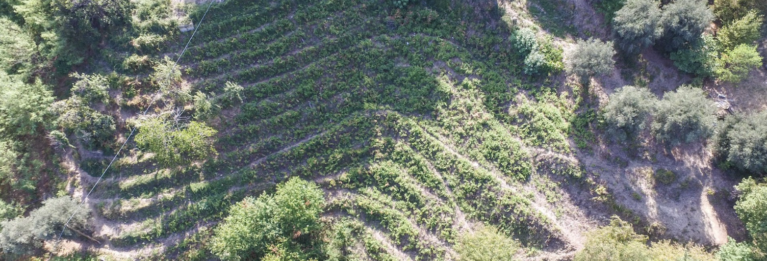 Terrain  8551 m² à vendre à Sainte-Agnès (06500)