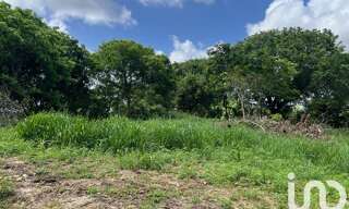 Terrain  5950 m² à vendre à Petit-Canal (97131)