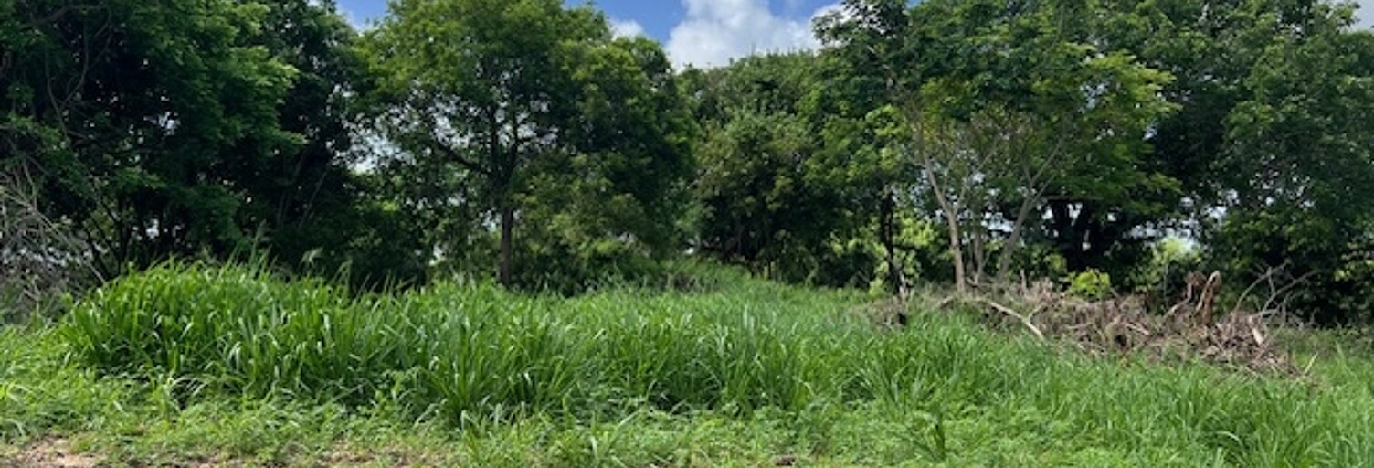 Terrain  5950 m² à vendre à Petit-Canal (97131)