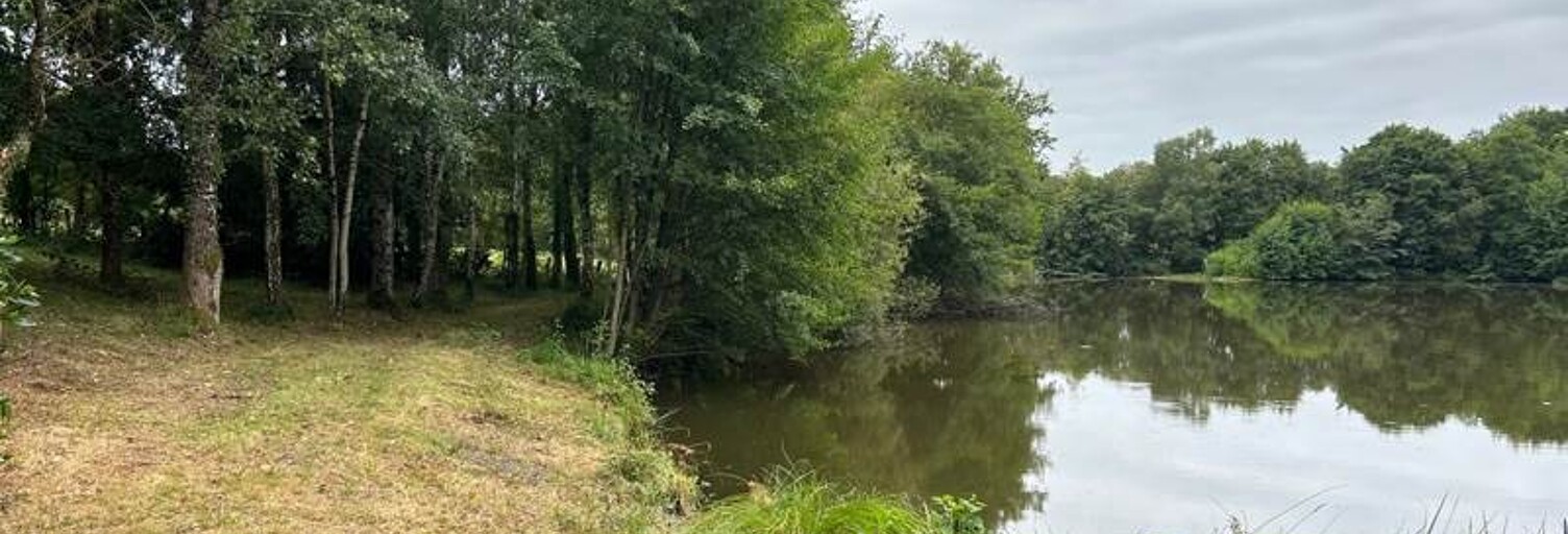 Terrain  23730 m² à vendre à Oradour-sur-Vayres (87150)