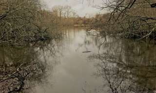 Terrain  23730 m² à vendre à Oradour-sur-Vayres (87150)