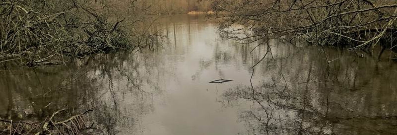 Terrain  23730 m² à vendre à Oradour-sur-Vayres (87150)