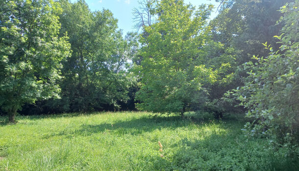 Villa / Maison 13 pièces  à vendre Espès-Undurein 64130