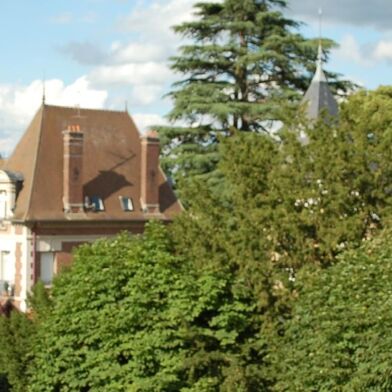 Appartement 1 pièces 390 €