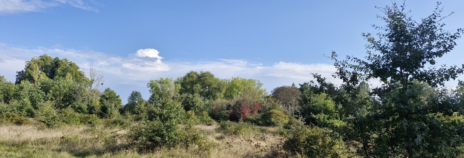 Terrain  8654 m² à vendre à Montcaret (24230)